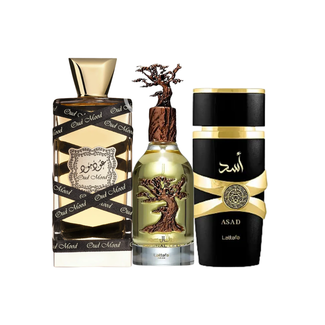 Lattafa Eternal Oud, Asad, Oud Mood
